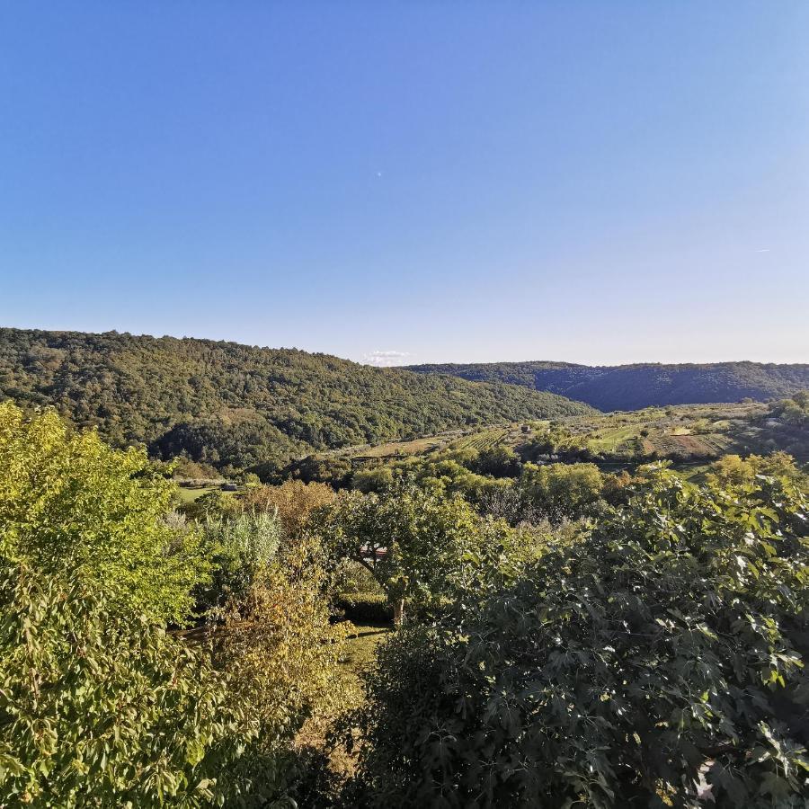 Apartma Zan Διαμέρισμα Šmarje Εξωτερικό φωτογραφία